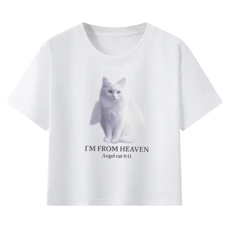 Karina Same Angel Cat Cotton Short-sleeved T-shirt