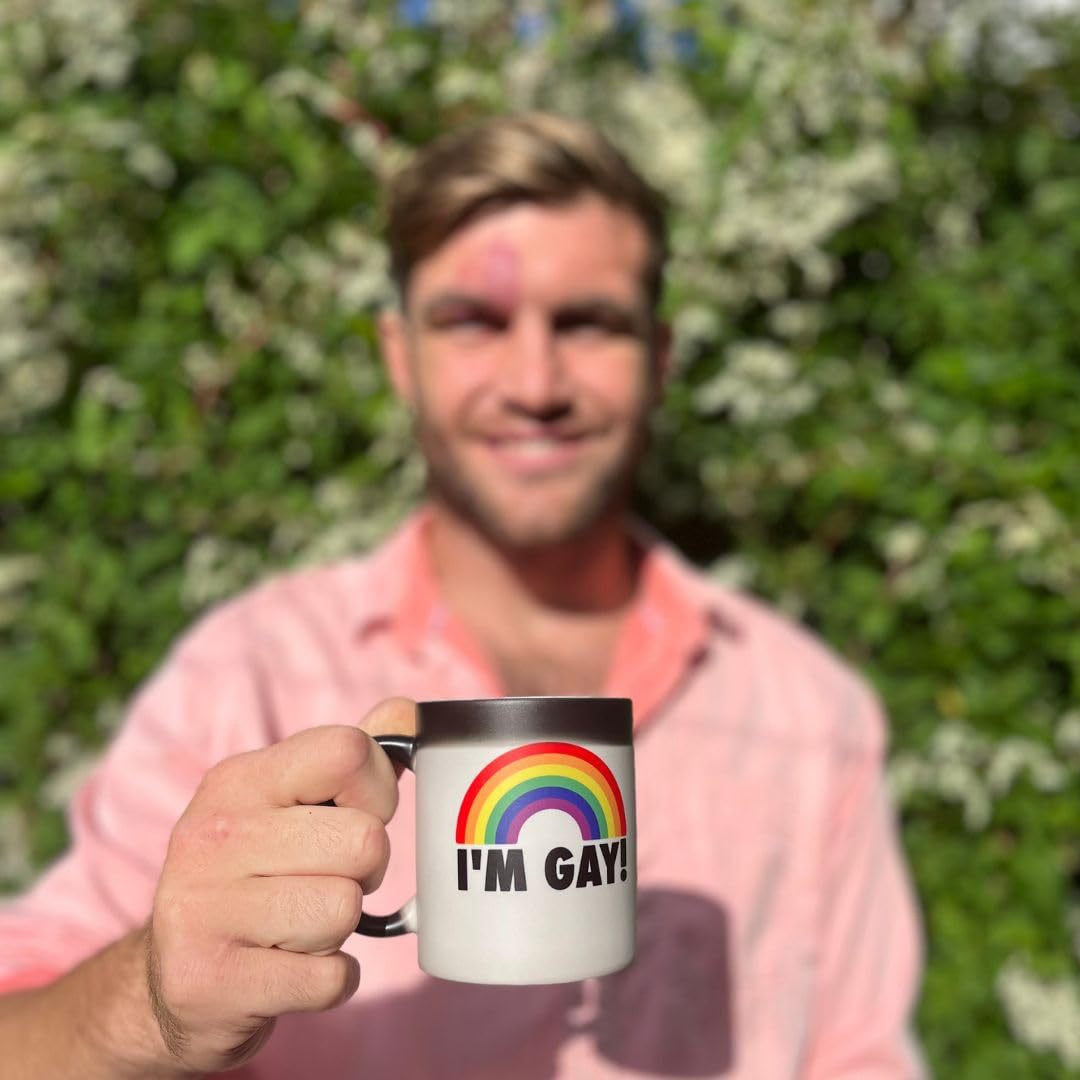 I'm Gay Rainbow Heat Change Funny Rude Mug