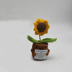 Handmand Emotionlal Support Plant Gifts