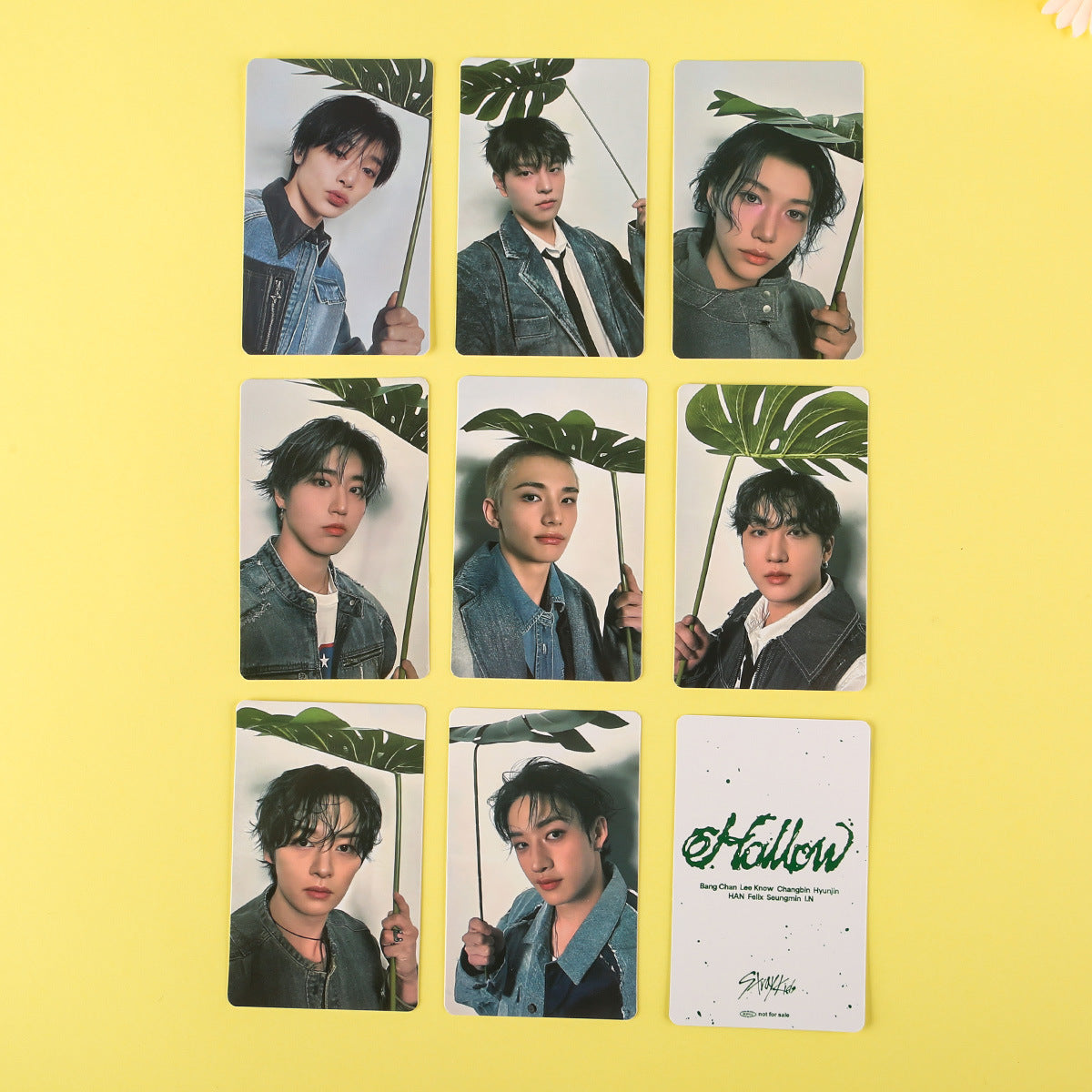 SKZ HOLLOW Photocard Collection Special Edition