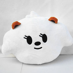Kpop Plush Doll Throw Pillow