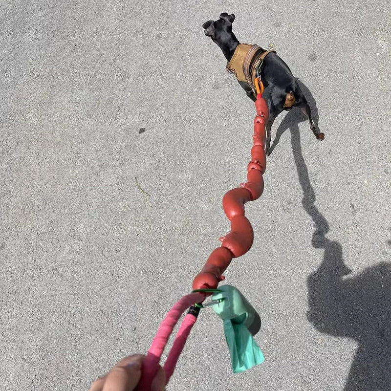 Dog String of Large Sausage Leash