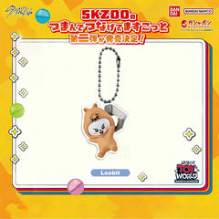 SKZ Acrylic Keychain Pendant 8PCS