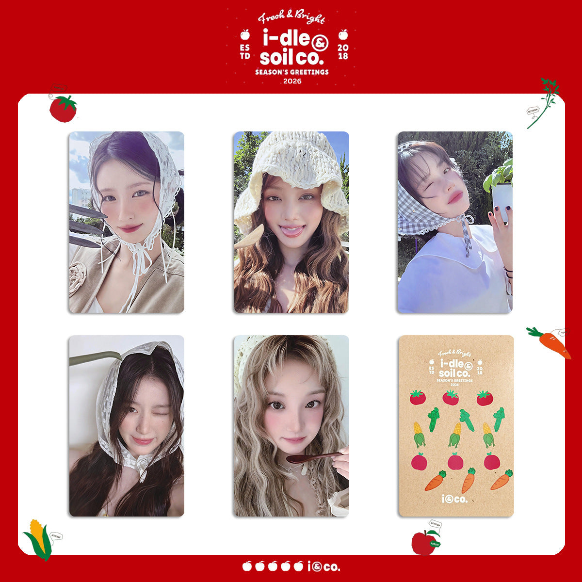 Soyeon MINNIE Calendar Photocard 5PCS