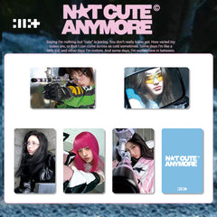 "NOT CUTE ANYMORE" Album Photocard 5PCS