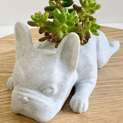 Meditating Dog Outdoor Decoration Garden Statue