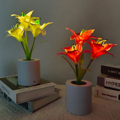 Rechargeable Lily Flower Pot Night Light