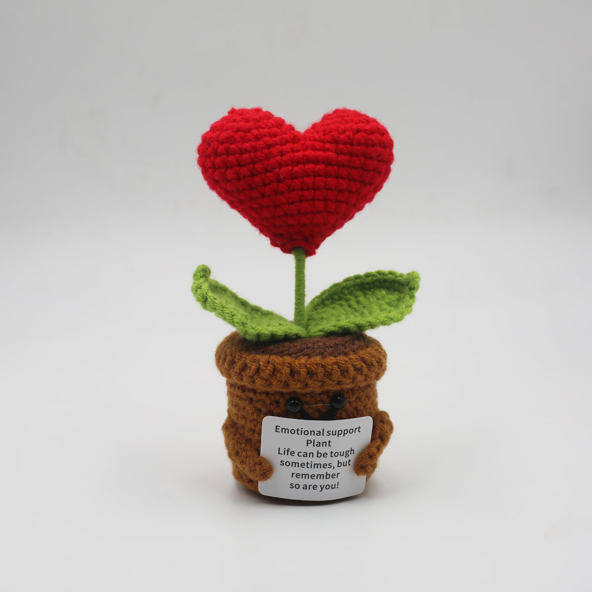 Handmand Emotionlal Support Plant Gifts