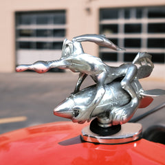 Cool Car Enthusiasts Hood Ornaments