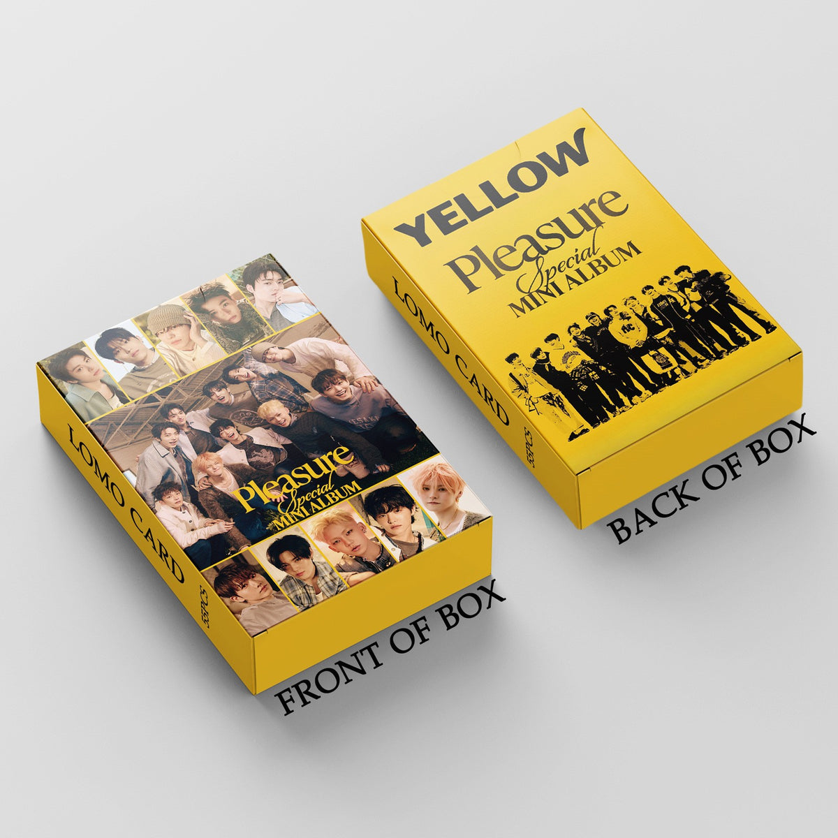 Kpop PLEASURE LOMO Cards