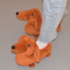 Dog Slippers