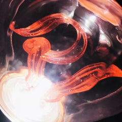 RV Lightstick