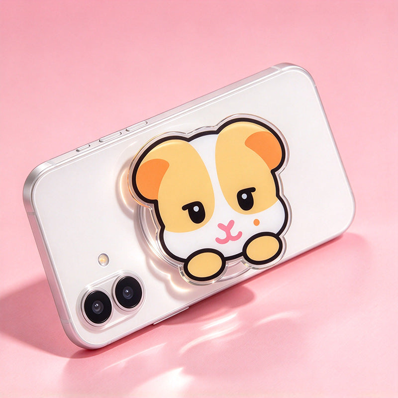 TWS "TWIMI" Cartoon Acrylic Airbag Bracket