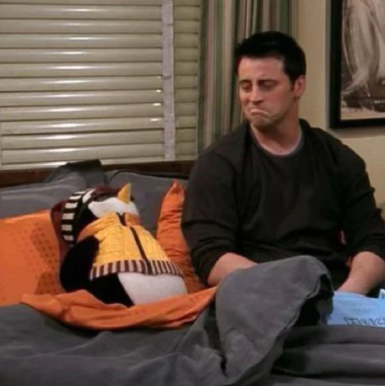 Friends Joey's Hugsy Plush Toy Doll