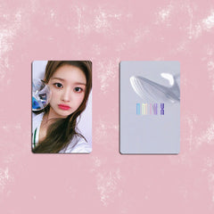 Dolphin Stick Photocard Set