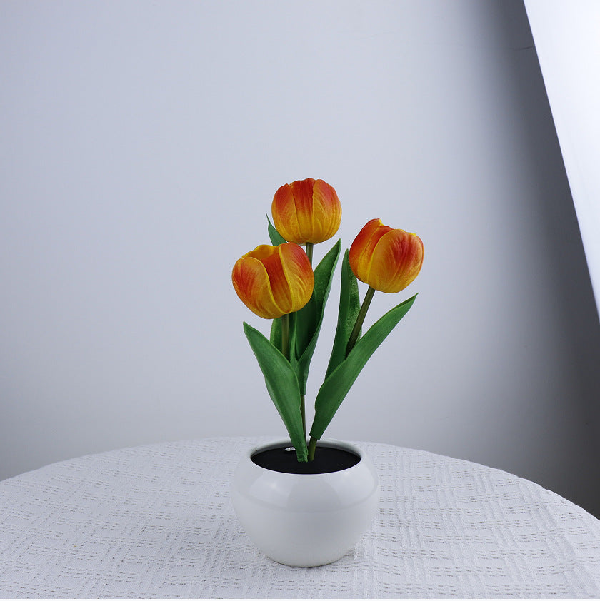 Tulip Dreamlight Table Lamp