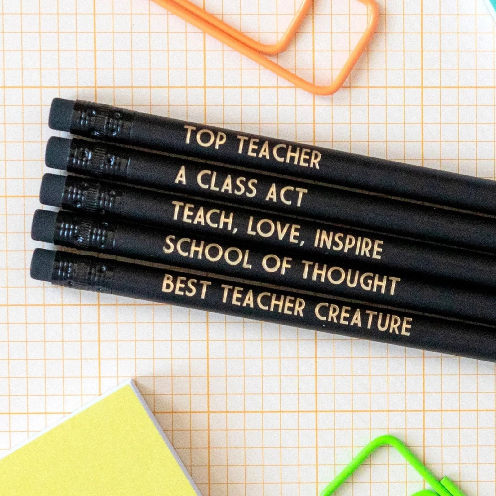 5 Funny Nurse Teacher Themed Pencil Set