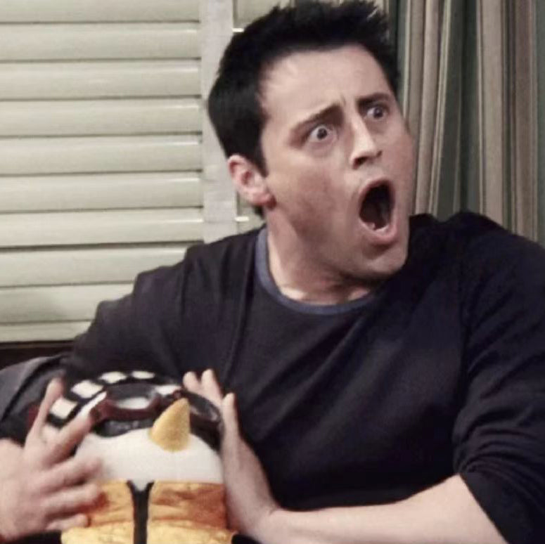 Friends Joey's Hugsy Plush Toy Doll