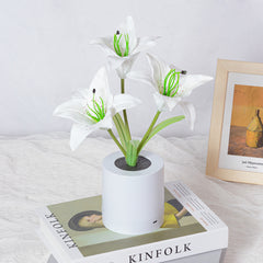 Rechargeable Lily Flower Pot Night Light