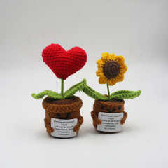Handmand Emotionlal Support Plant Gifts