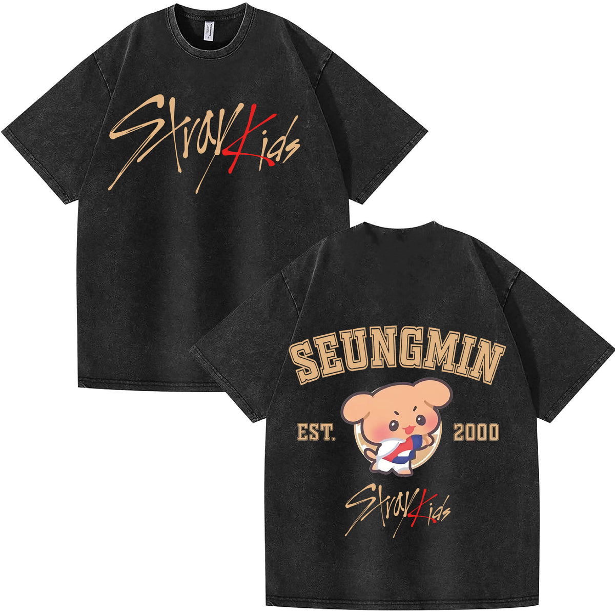 KPOP SEUNGMIN Short-sleeved Washed T-shirt