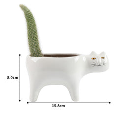 Cat Planter Pot