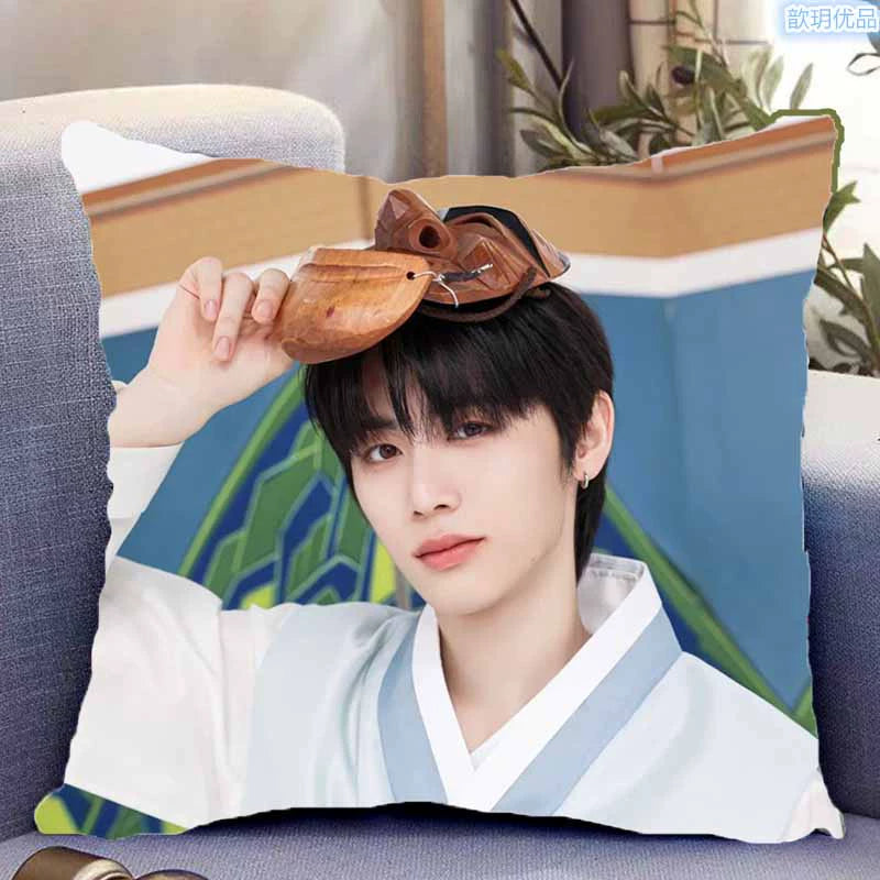 Taesan Poster Double-sided Throw Pillow
