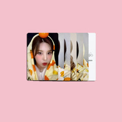 A Midsummer Dream Photocard Collection