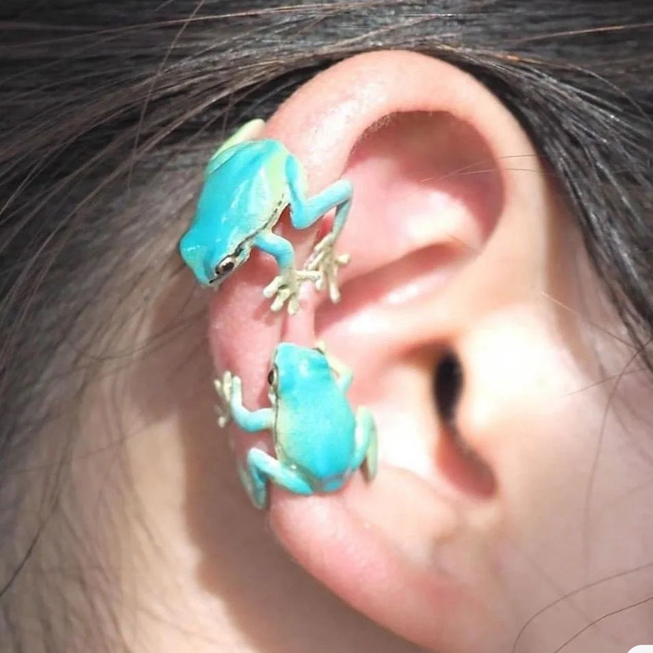 Cute Frog Earrings Ear Clips