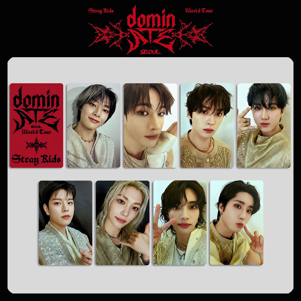 SKZ Dominate World Tour Exclusive Photocard