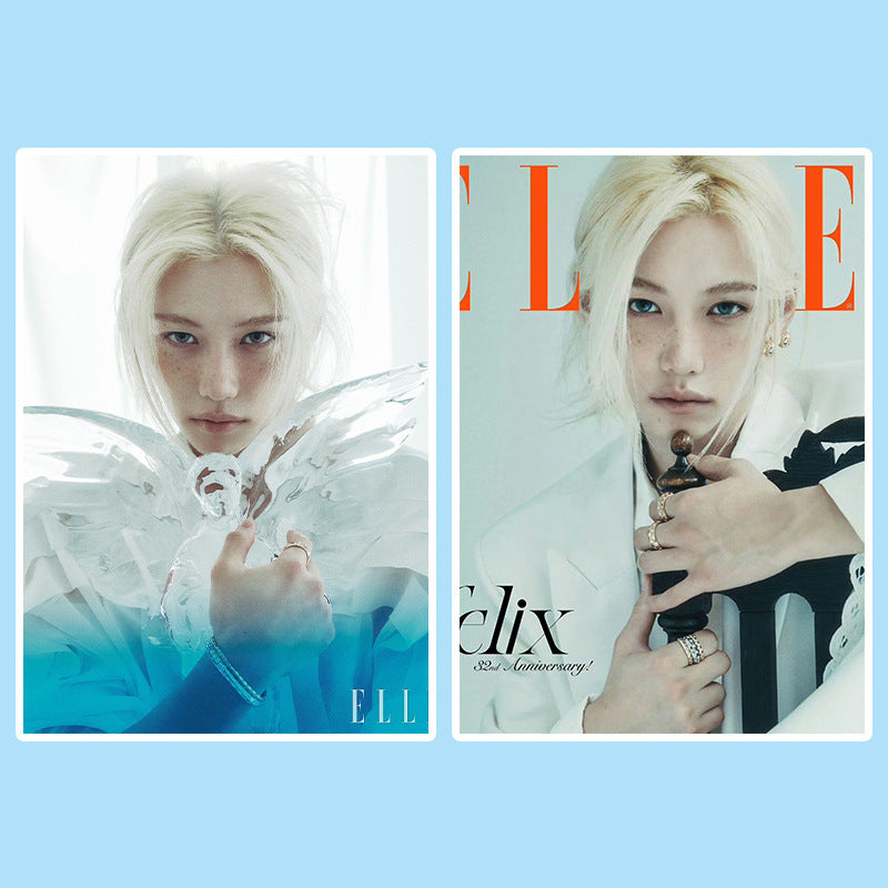 FELIX Magazine Self-adhesive Poster Stickers