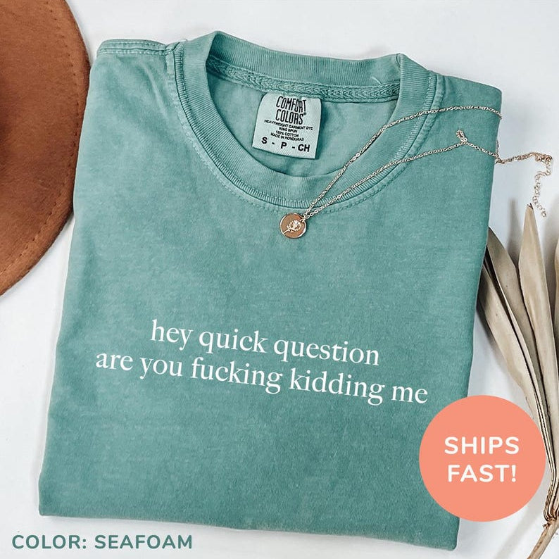 Quick Question Are You Kidding Me Sarcasm Washed T-Shirt