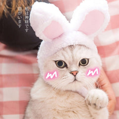 Bunny Rabbit Ears Hat for Cats