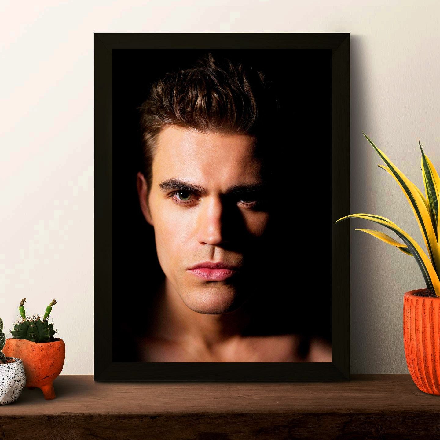 TVD Poster Framed Photo