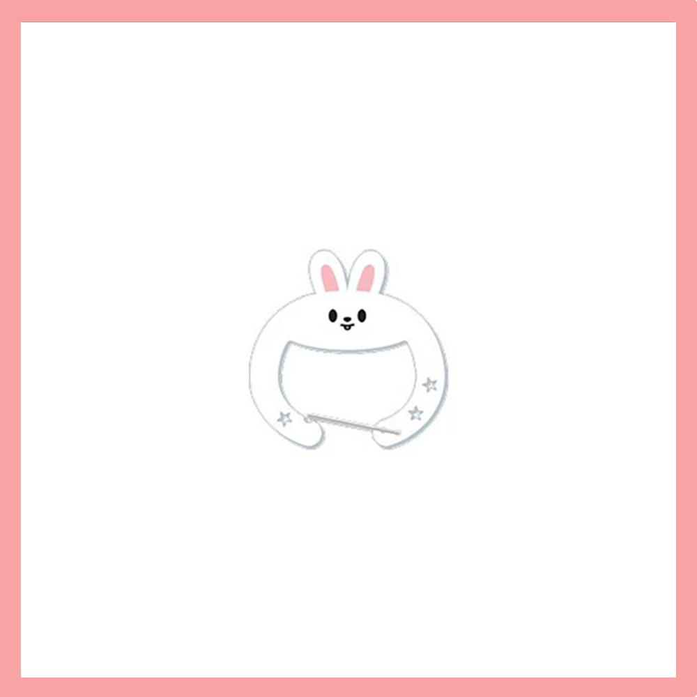 SKZ Arcylic Carabiner Limited Edition