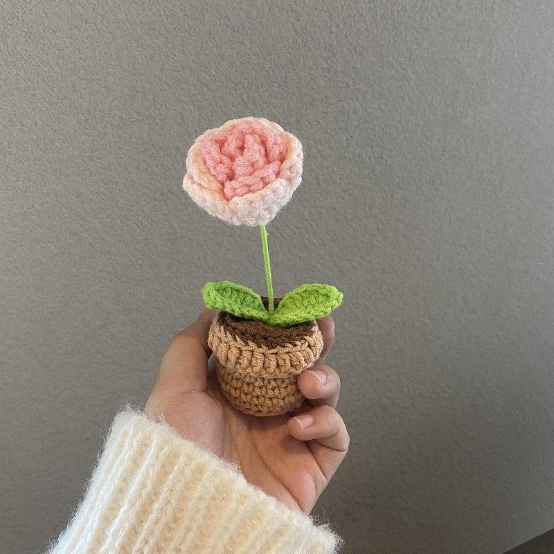 Handmade Crochet Flower Pot