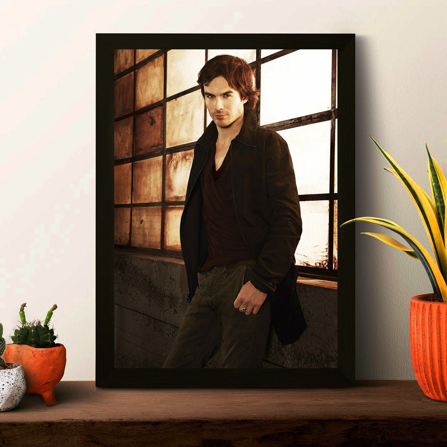 TVD Poster Framed Photo