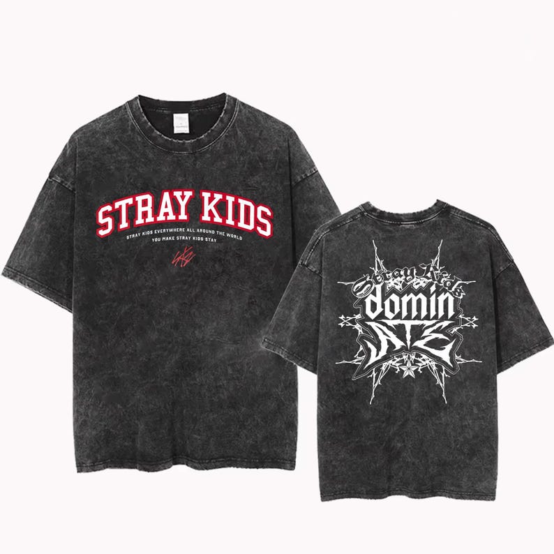 Vintage DominATE Kpop Washed Tee