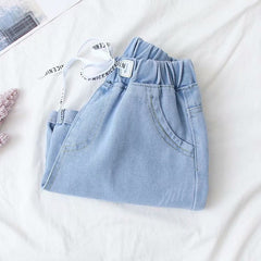 Versatile Korean Style Bear Embroidery Hot Denim Shorts